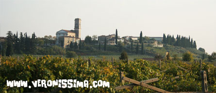 verona valpolicella